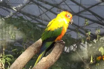 Kakegawa Bird Park