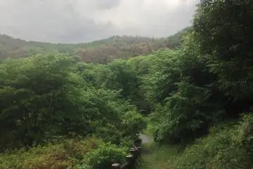 Sano's Mikamoyama Park