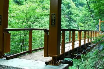 Discover Japan's Roots in Akita