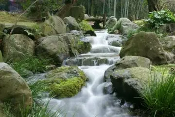 Chofu Teien