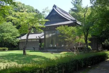 Gallery image