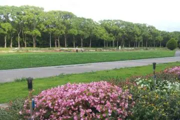 Oizumi Ryokuchi Park