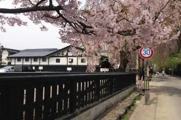 Spring in Kakunodate
