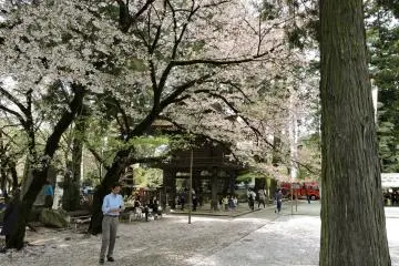 Spring Festival at Erinji
