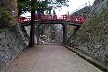 Iwate Park in Full Bloom