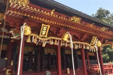Gallery image