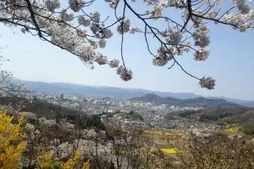 Double Blossom in 40 Minutes 