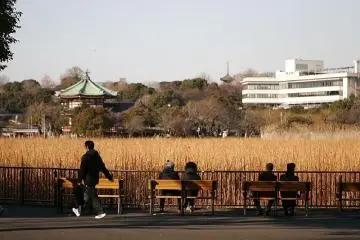 Photo: <a href="https://commons.wikimedia.org/wiki/File:Shinobazu_no_ike_by_mrhayata_in_Ueno_Park,_Tokyo.jpg" target="_blank" rel="noreferrer noopener nofollow">mrhayata from Ueno Park in Taito, Tokyo</a> / <a href="https://creativecommons.org/licenses/by-sa/2.0/" target="_blank" rel="noreferrer noopener nofollow">CC BY-SA 2.0</a>