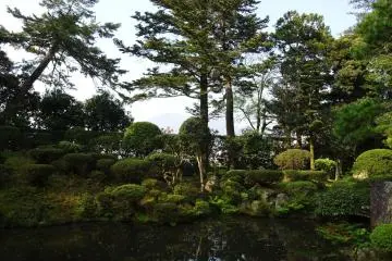 借景の庭園　柴田氏の庭　ふらりしました