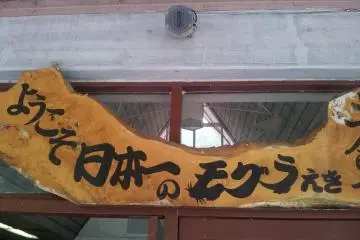 Welcome to Japan's Number One Station for Moles