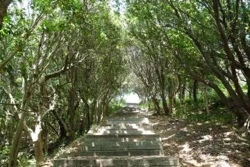 Ushimado Shrine, Setouchi City