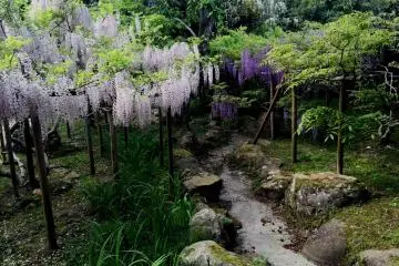 This walking path looks like a brook (Photo: Olga Kaneda)