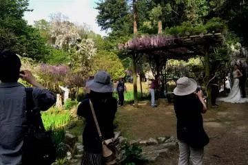 Ideal place for wedding photo shoots. Some visitors do not hesitate to take pictures of the bride! (Photo: Olga Kaneda)