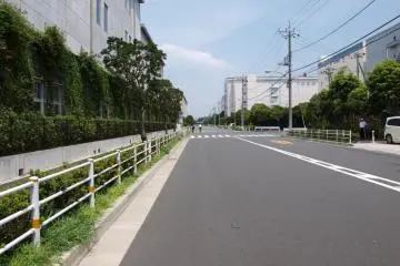 Another long, flat straight (Photo: Aric Denfield )
