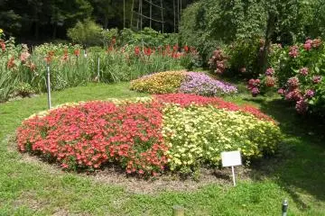 Handayama Botanical Garden