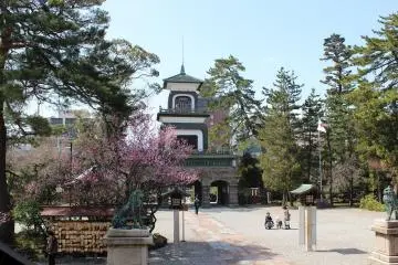Gallery image