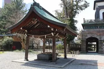 Gallery image