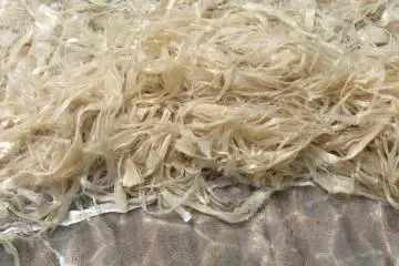 Japanese Papermaking in Ikazaki