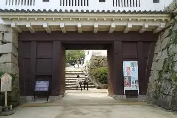 Gallery image