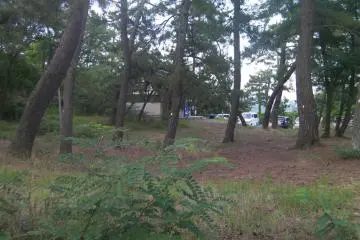 Yanagijaya Campground