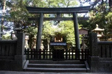 Gallery image