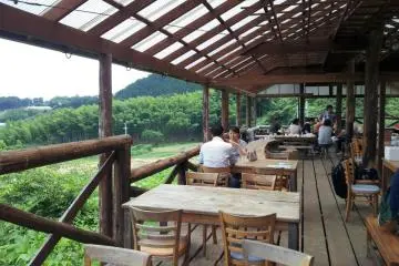 nice view from the dining area