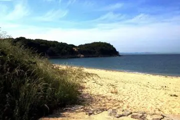 Les Archives du Coeur Teshima