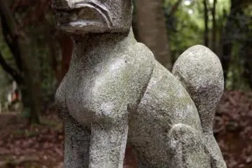 Inari Ken Ken-san (Photo: Matthew J. Eynon)