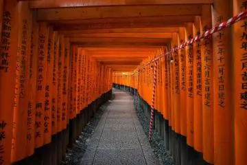 Phrases de survie pour voyager au Japon