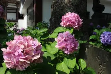 Photo: Yuuko Tanaka