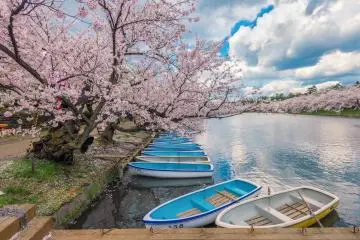 Photo: Aomori Tourism