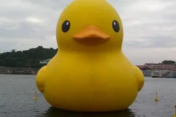 “The rubber duck is soft, friendly and suitable for all ages!” by Florentijn Hofman