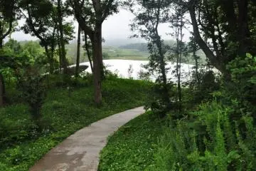 Path Approaching the Teshima Art Museum (Photo: Cliff Bernstein)
