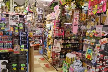 Don Quijote, Japan's Variety Store