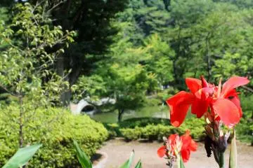 Yakushi-Ike Park