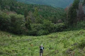 Paths Less Traveled – Ryūō-zan