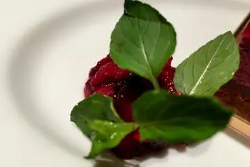 Berry sauce (Photo: Olga Kaneda)