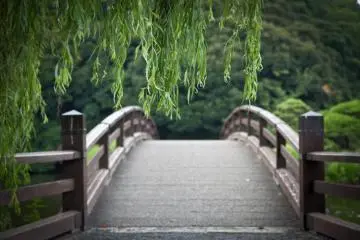 Tranquility of Shinjuku Gyoen