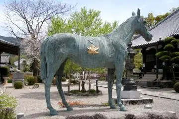 Shōtoku Taishi's favorite horse Kurokoma (Photo: Matthew J. Eynon)