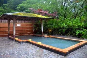 Relax while being surrounded by nature in a roten-buro (outdoor bath) (Photo: <a href="https://en.japantravel.com/kyoto/kurama-onsen/14504" target="_blank" rel="noreferrer noopener nofollow">Karen Zheng</a>)