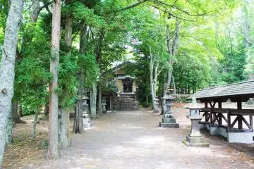 Gallery image