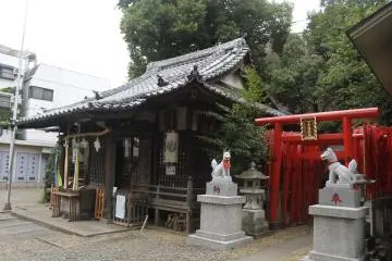 Gallery image