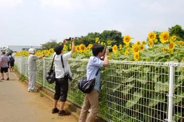 Capturing the First Blooms (Photo: Carrie Jacobs )