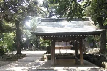 Gallery image