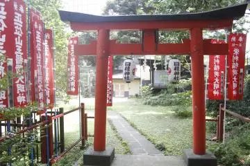 Gallery image