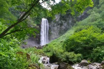 Hot Springs & Green in Hirayu Onsen