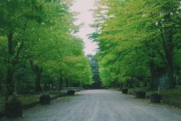Summer in Hirosaki
