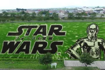 Star Wars Rice Paddy Art
