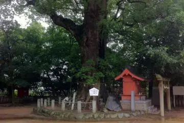 A shrine within a shrine (Photo: Bret de Colebi)