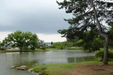 Landscape near Hiraizumi (Photo: Andy Checkley)